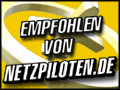 Logo Netzpiloten